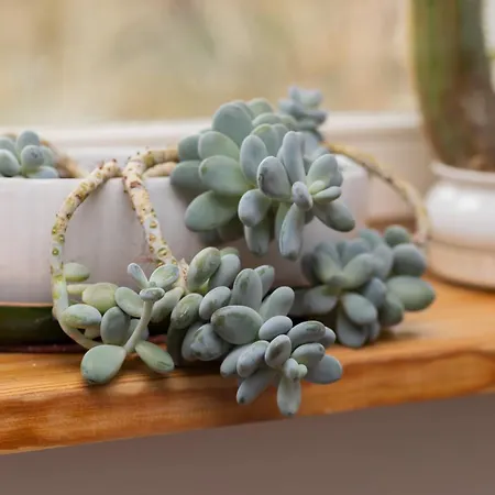 Quiet Bemowo House With Garden By Renters * ורשה