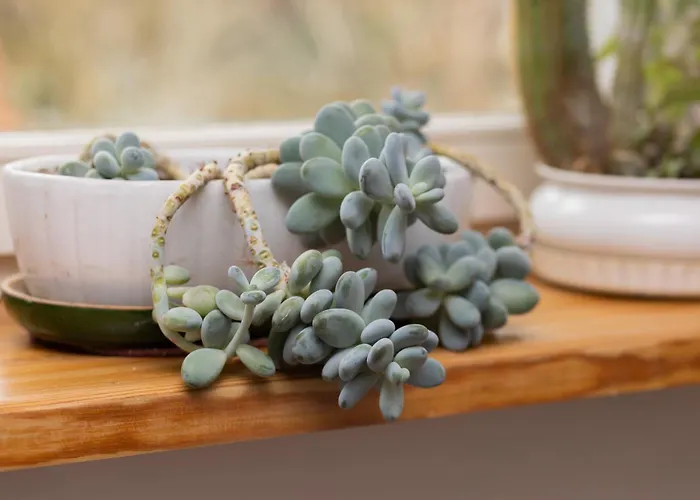 Quiet Bemowo House With Garden By Renters * Varşova